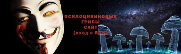 гидра Алзамай