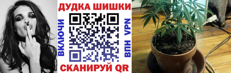 Бошки Шишки ГИДРОПОН как найти наркотики Киселёвск